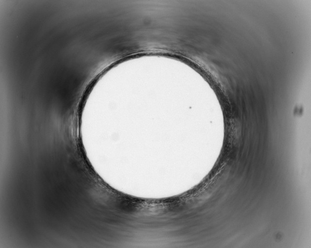 X0000103941269200810101408