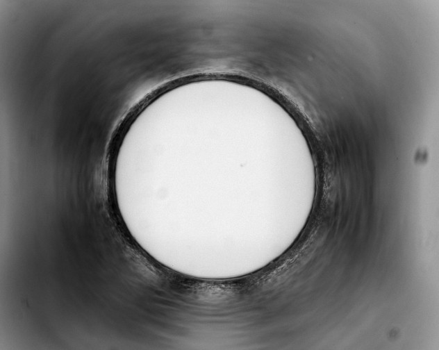 X0000103941270200810101408