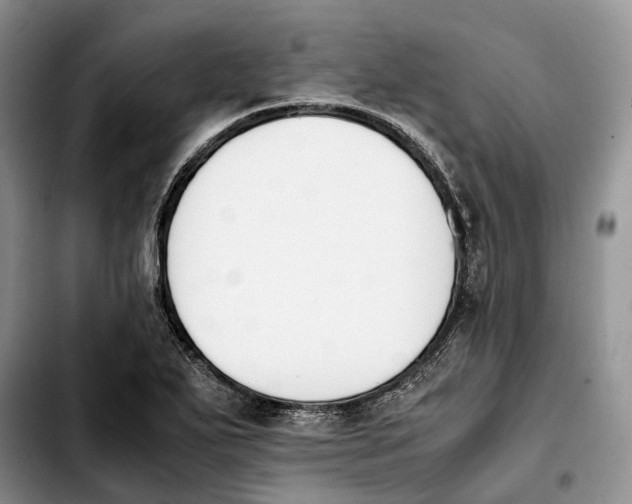 X0000103941271200810101408