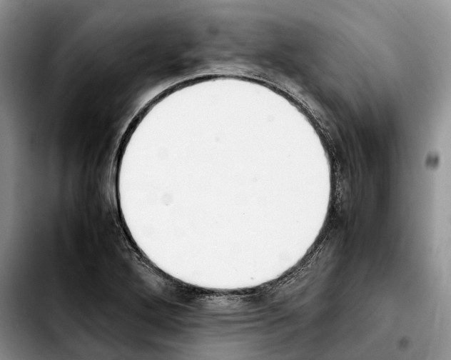 X0000103941272200810101408