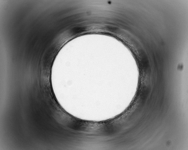 X0000103941273200810101408