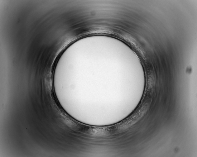 X0000103941274200810101408