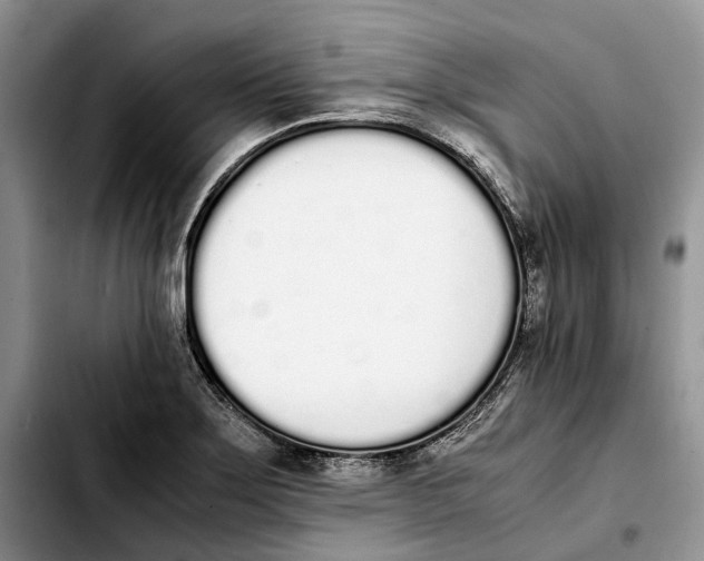 X0000103941275200810101408