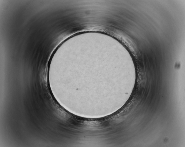 X0000103941276200810101408