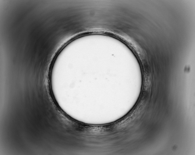 X0000103941279200810101408