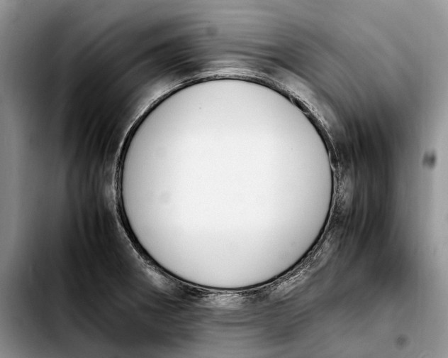 X0000103941282200810101408