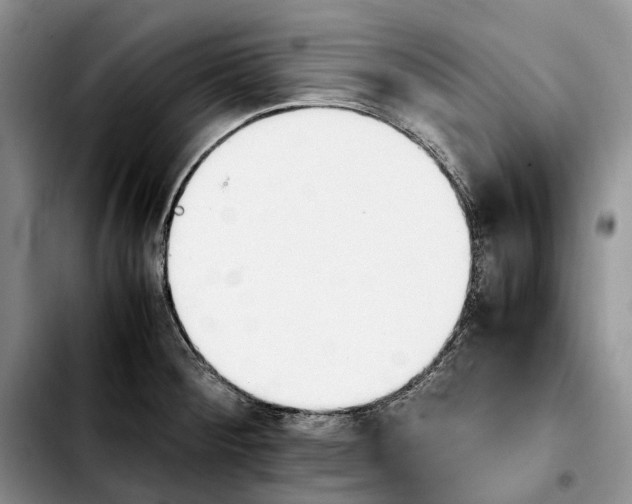 X0000103941284200810101408