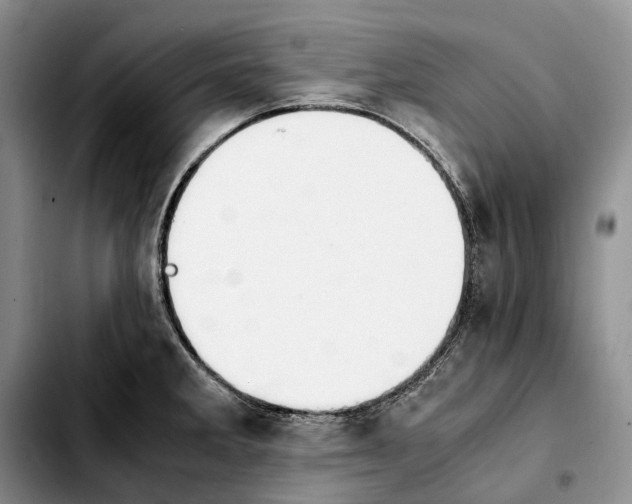 X0000103941285200810101408