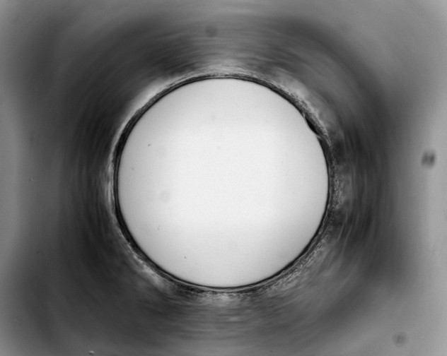 X0000103941286200810101408