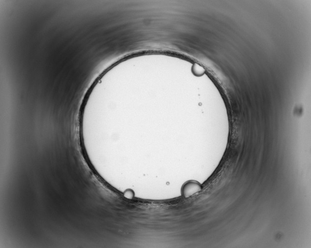 X0000103941287200810101408