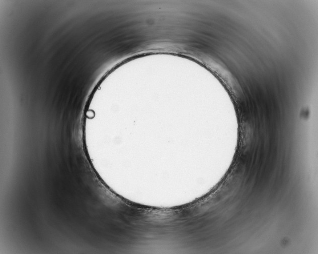 X0000103941288200810101408