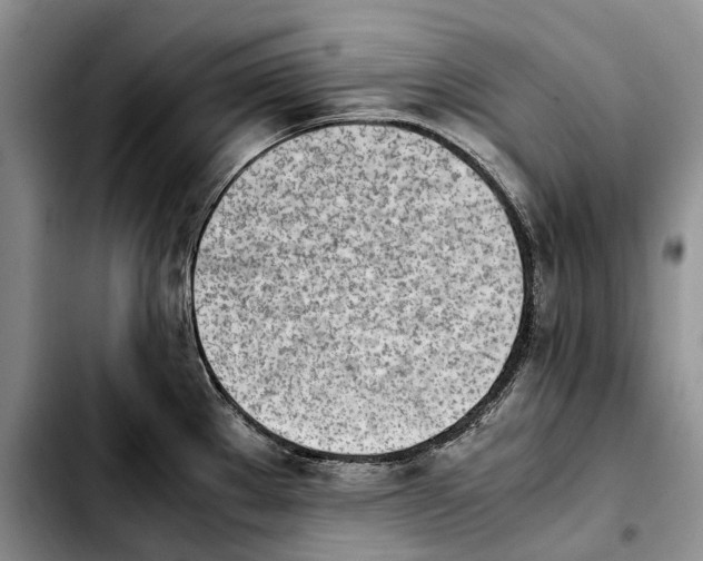 X0000103941289200810101408