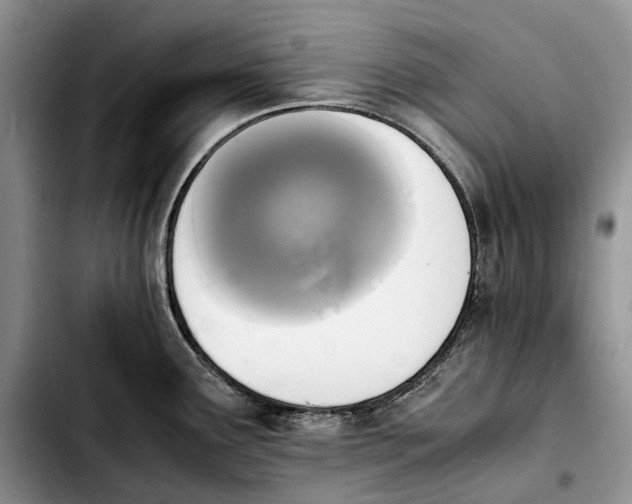 X0000103941291200810101408