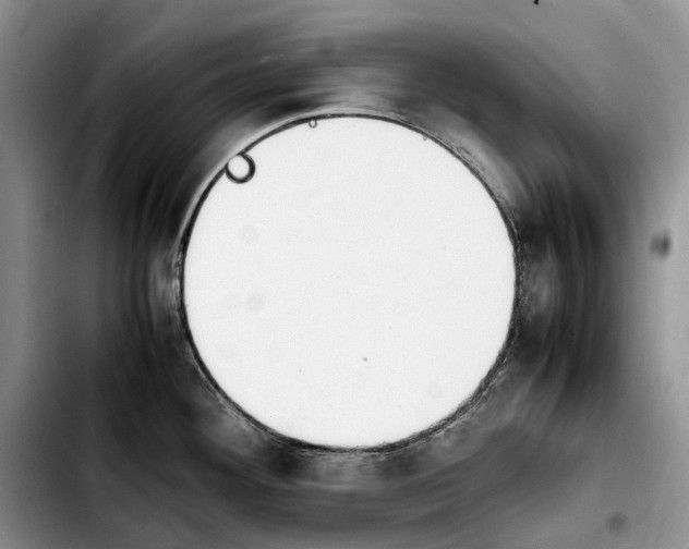 X0000103941292200810101408