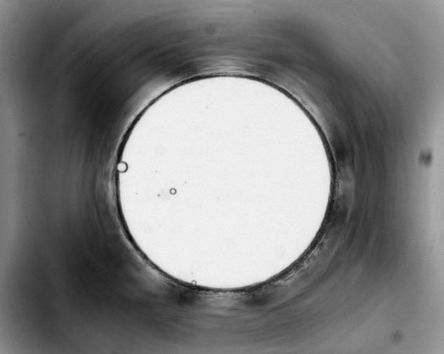 X0000103941293200810101408