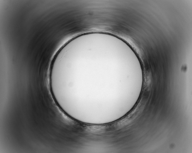 X0000103941294200810101408