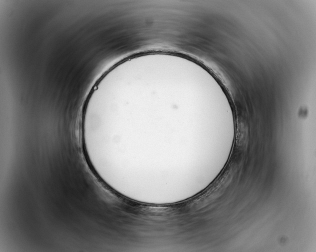 X0000103941295200810101408