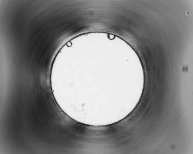 X0000103941296200810101408