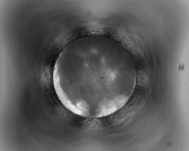 X0000103941298200810101407