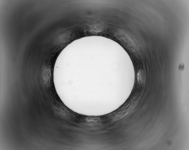 X0000103941299200810101407