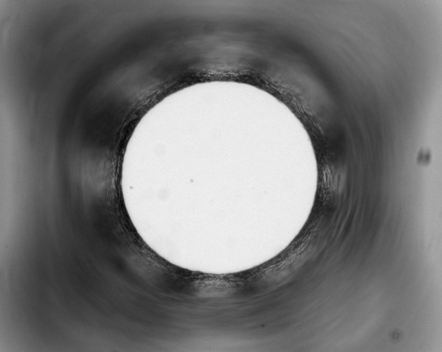 X0000103941300200810101407