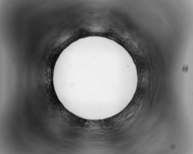 X0000103941301200810101407