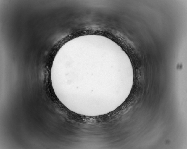 X0000103941302200810101407