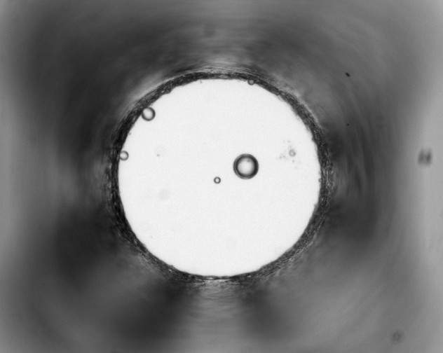 X0000103941304200810101407