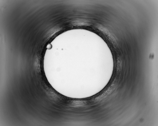 X0000103941305200810101407