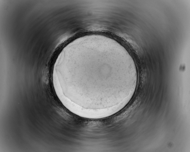 X0000103941306200810101407