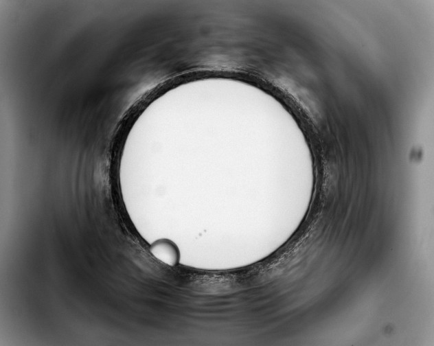 X0000103941307200810101407