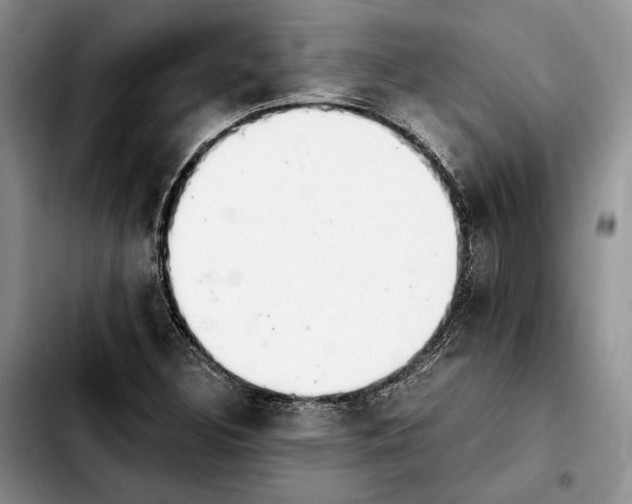 X0000103941308200810101407