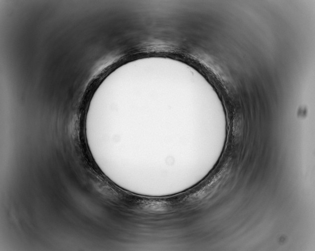 X0000103941309200810101407