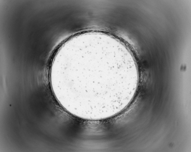 X0000103941310200810101407