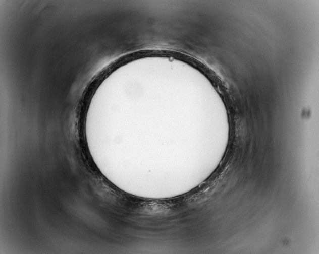 X0000103941311200810101407