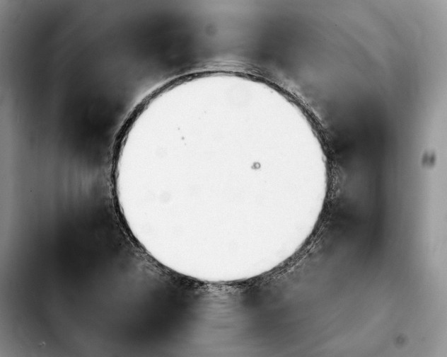 X0000103941312200810101407