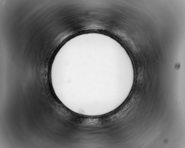 X0000103941313200810101407