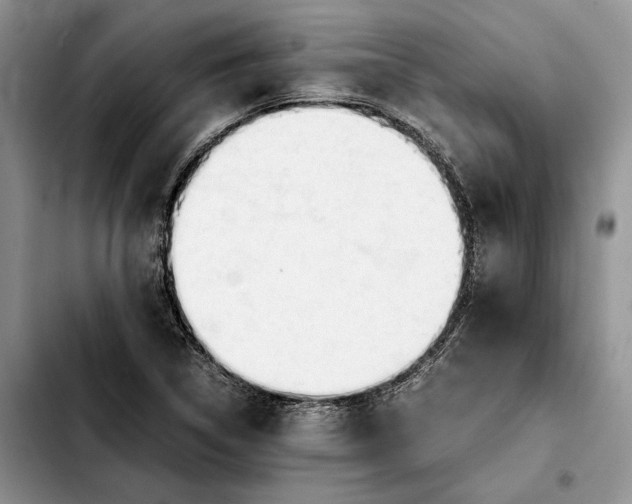 X0000103941314200810101407