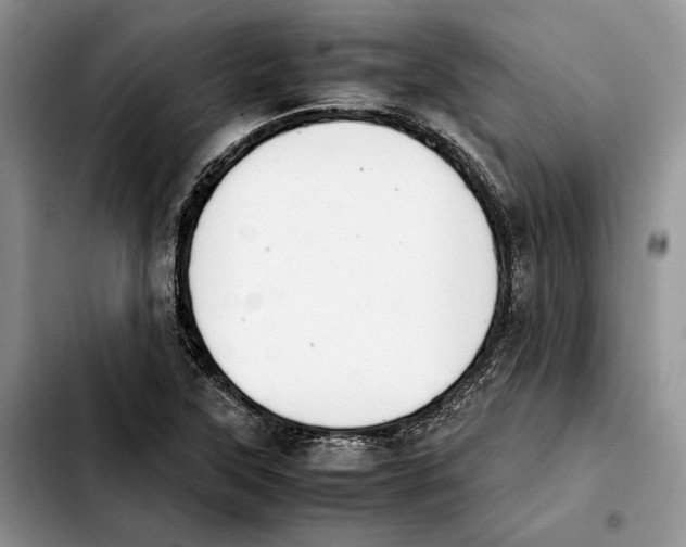 X0000103941315200810101407