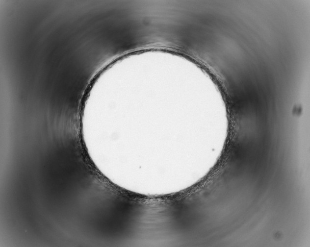 X0000103941316200810101407