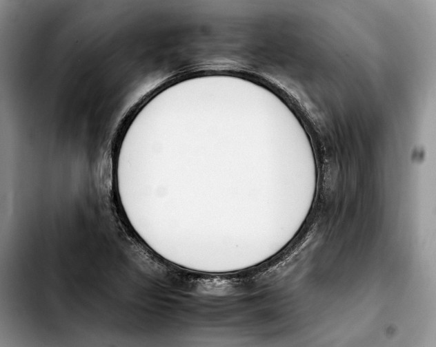 X0000103941317200810101407