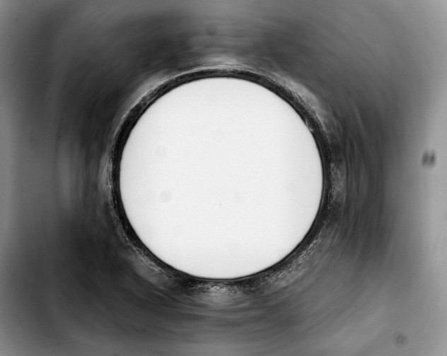 X0000103941318200810101407