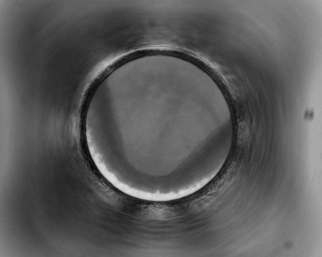 X0000103941319200810101407