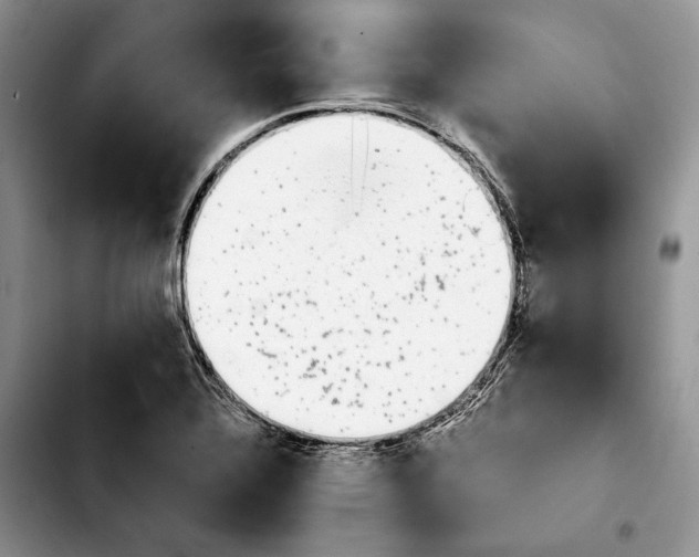 X0000103941320200810101407