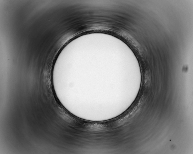 X0000103941321200810101407