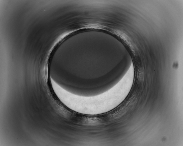 X0000103941323200810101407