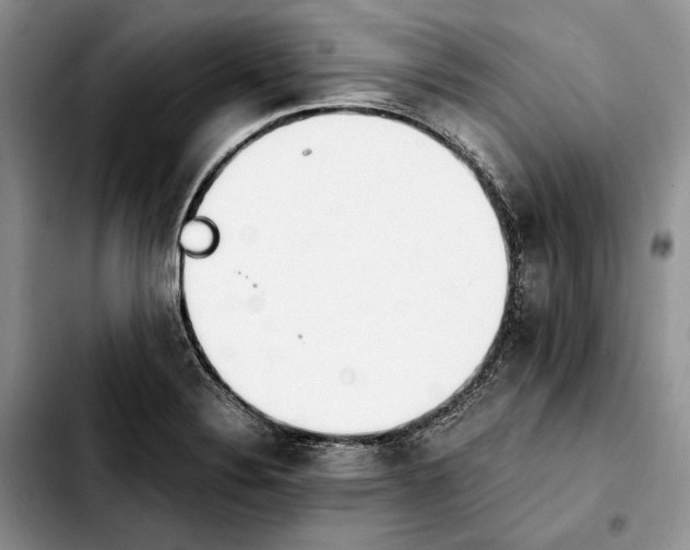 X0000103941324200810101407