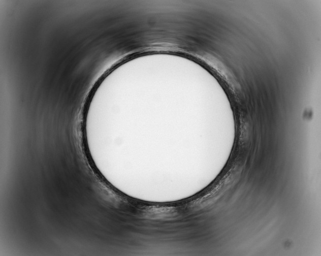 X0000103941325200810101407