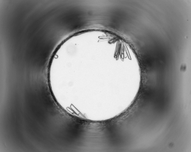 X0000103941326200810101407