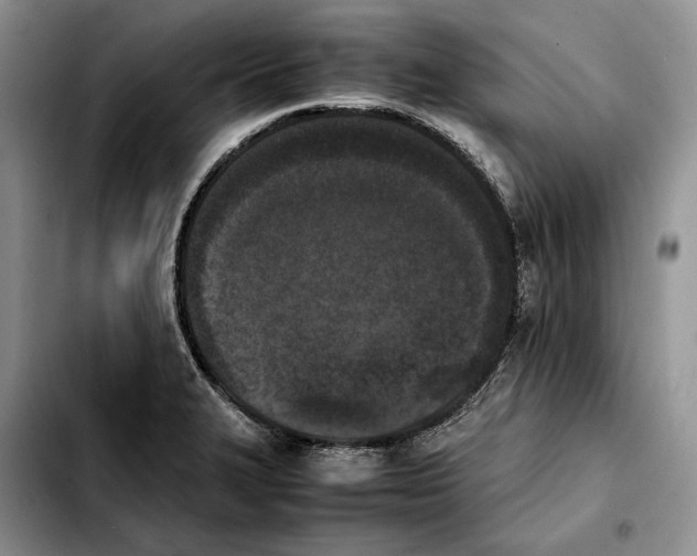 X0000103941327200810101407